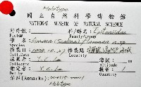 火燄海螄螺藏品圖，第10張