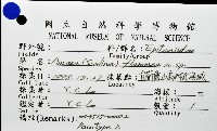 火燄海螄螺藏品圖，第11張