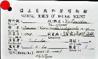 銹底海螄螺藏品圖，第11張