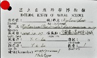 新種綺螄螺藏品圖，第11張