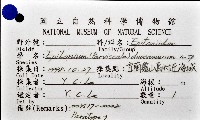 新種綺螄螺藏品圖，第7張