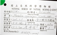 心形海壺藏品圖，第24張