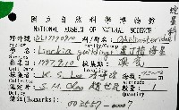 蓋丁指海星藏品圖，第20張