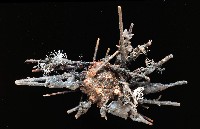 雙列角頭帕藏品圖，第3張