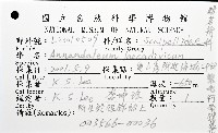 繁毛阿南鎧茗荷藏品圖，第8張