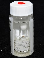 斑點微姬蜘藏品圖，第7張