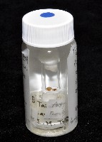 新種寄居姬蜘藏品圖，第7張
