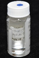 新種寄居姬蜘藏品圖，第6張