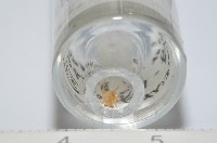 臺灣克羅蛛藏品圖，第8張