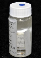 蘭嶼金姬蛛藏品圖，第7張