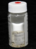 新種姬蜘藏品圖，第8張