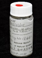 臺灣奈斯蛛藏品圖，第6張