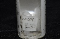 臺灣奈斯蛛藏品圖，第8張