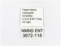 木毒蛾藏品圖，第3張