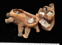 寄居蟹鞘群海葵藏品圖，第12張