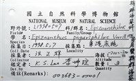寄居蟹鞘群海葵藏品圖，第18張