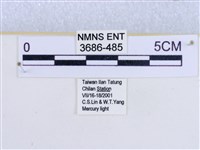 閃光苔蛾藏品圖，第3張