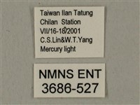 半緣缺角天蛾藏品圖，第3張