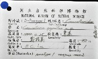 巨核螺藏品圖，第12張