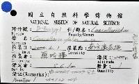 粗布核螺藏品圖，第8張