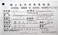 未知種擬寄居蟹藏品圖，第18張