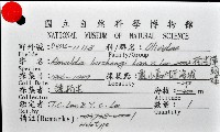 柏生彈頭螺藏品圖，第7張