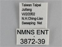 琺蛺蝶藏品圖，第3張