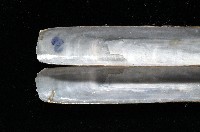 (新種)蟶蛤藏品圖，第4張