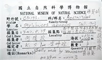 造殼海葵之一種藏品圖，第10張