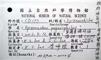 寄居蟹鞘群海葵藏品圖，第16張