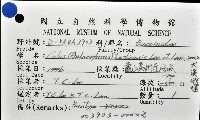 大溪峨螺(新種)藏品圖，第11張