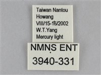 基褐刺蛾藏品圖，第3張