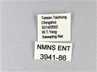 禾弄蝶藏品圖，第3張