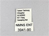 禾弄蝶藏品圖，第3張