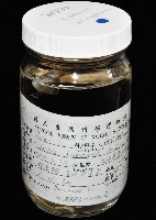 叉尾烏賊藏品圖，第14張