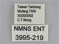 登錄號:003995-00219藏品圖，第3張
