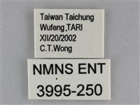 登錄號:003995-00250藏品圖，第3張