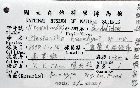 學羽紅蝦藏品圖，第11張