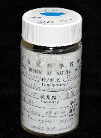 學羽紅蝦藏品圖，第12張