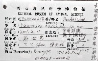 學羽紅蝦藏品圖，第1張