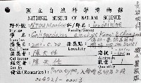 纖小麗額蝦藏品圖，第7張
