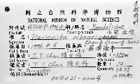 白冠紅蝦藏品圖，第8張