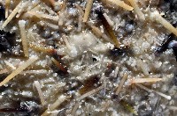 斑蘑海膽藏品圖，第2張