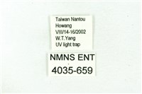 臺雪苔蛾藏品圖，第3張