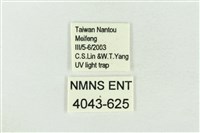 帶波紋蛾藏品圖，第3張