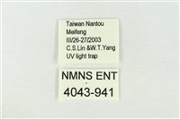 連珠波紋蛾藏品圖，第3張