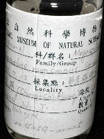 季風遠環蚓藏品圖，第10張