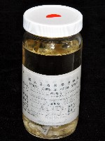 恆春遠環蚓藏品圖，第13張