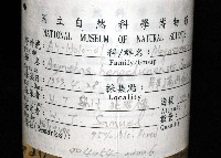 恆春遠環蚓藏品圖，第14張
