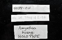 黃氏遠環蚓藏品圖，第8張